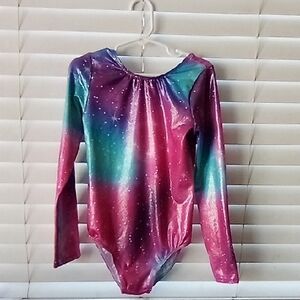 Pink and Blue Shiny Bodysuit with Long Sleeves